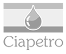 CIAPETRO TRADING COMERCIAL IMPORTADORA E EXPORTADORA LTDA